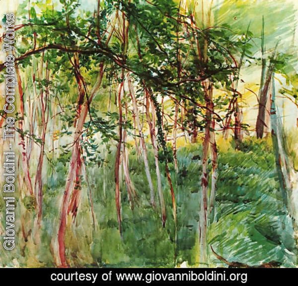 Giovanni Boldini - Trees in the Bois de Boulogne
