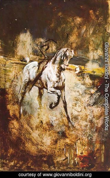 Giovanni Boldini - White Horse