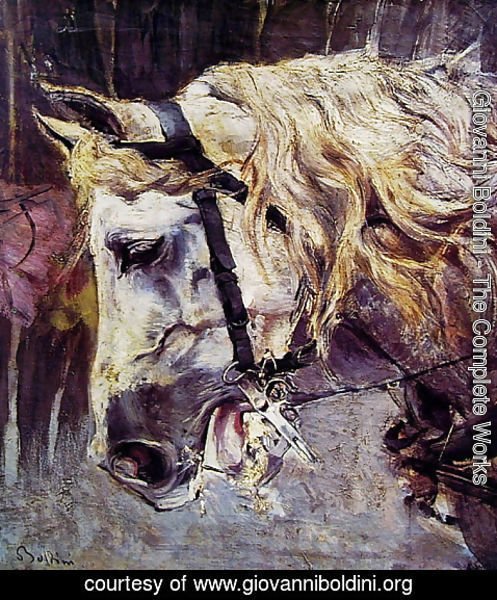Giovanni Boldini - The Head of a Horse